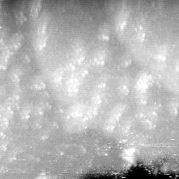 m4467_ori
