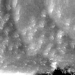 m4467_ori