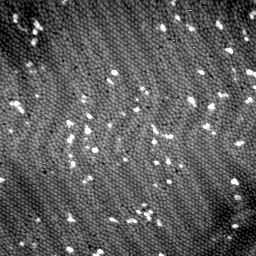 m4915_ori