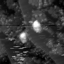 m6013_ori
