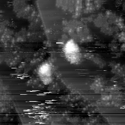 m6013_ori