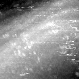 m6251_ori