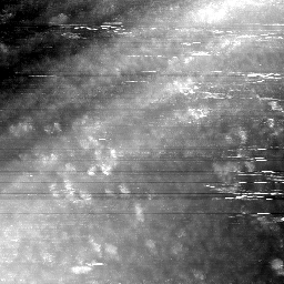 m6251_ori