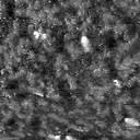 m6254_ori