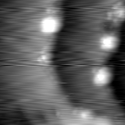 m7851_ori