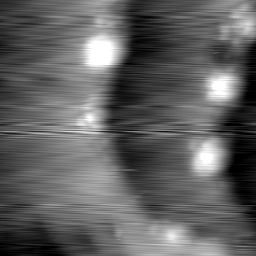 m7851_ori