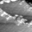 m7864_ori
