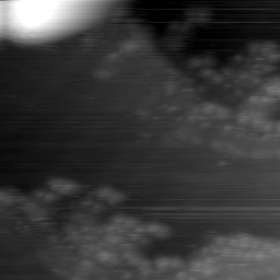 m7865_ori